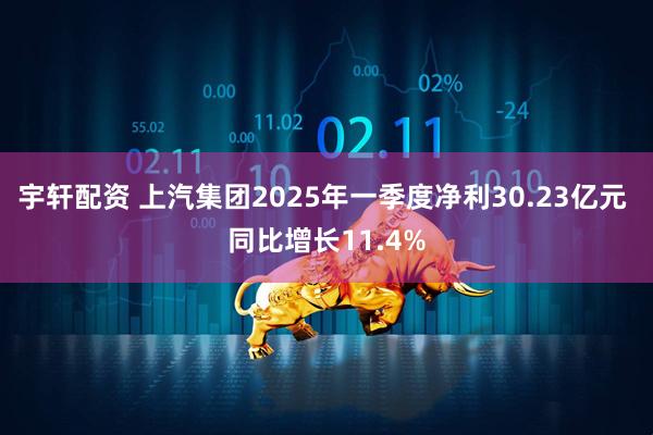 宇轩配资 上汽集团2025年一季度净利30.23亿元 同比增长11.4%
