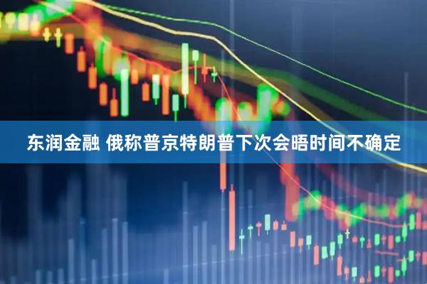 东润金融 俄称普京特朗普下次会晤时间不确定