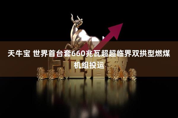 天牛宝 世界首台套660兆瓦超超临界双拱型燃煤机组投运