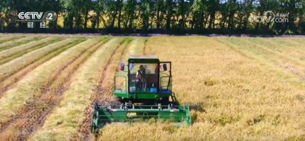 亿策略 金秋好“丰”景有“智”又有“质”&#32;“智慧农业”成农民“靠地生金”硬底气